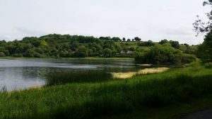 Ireland Tours   Lough Gur