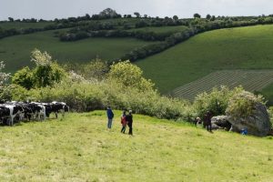 Approach to the Catstone on Recent Tour of Ireland