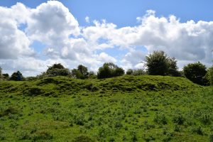 Horse Temple of the Dagda on Recent Tour of Ireland