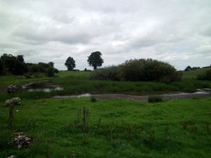 Uisneach on Recent Tour of Ireland