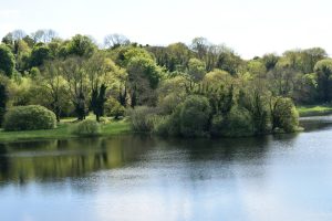 Tour of Ireland Visit Lough Gur