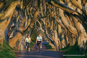 Dark Hedges of Antrim Ireland