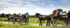 Jaunting Cars Killarney County Kerry