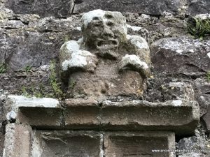 Pics from Ireland Tours Sheela Na Gig Near Mullingar