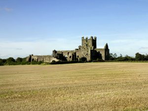 Pics from Ireland Tours Dunbrody Abbey