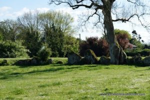 Pics from Ireland Tours Great Stone Circle