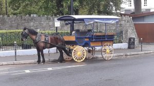 Ireland Tours Killarney