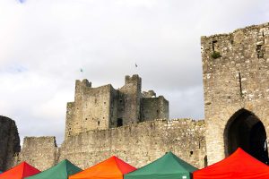 Trim Castle