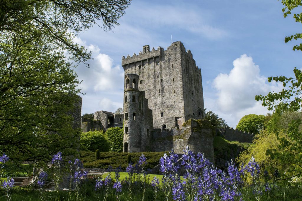 Favorite Irish Castles   Blarney