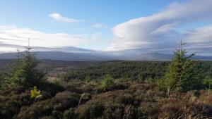Cavan Hidden Gems