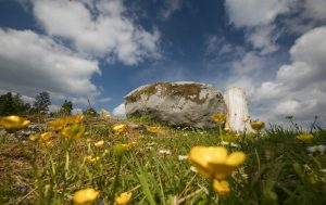 Springtime Delights in Ireland