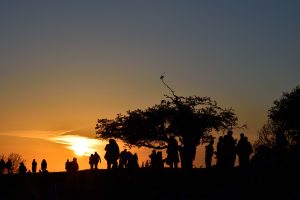 Ancient Ireland Tours