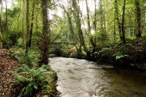 Cavan Hidden Gems