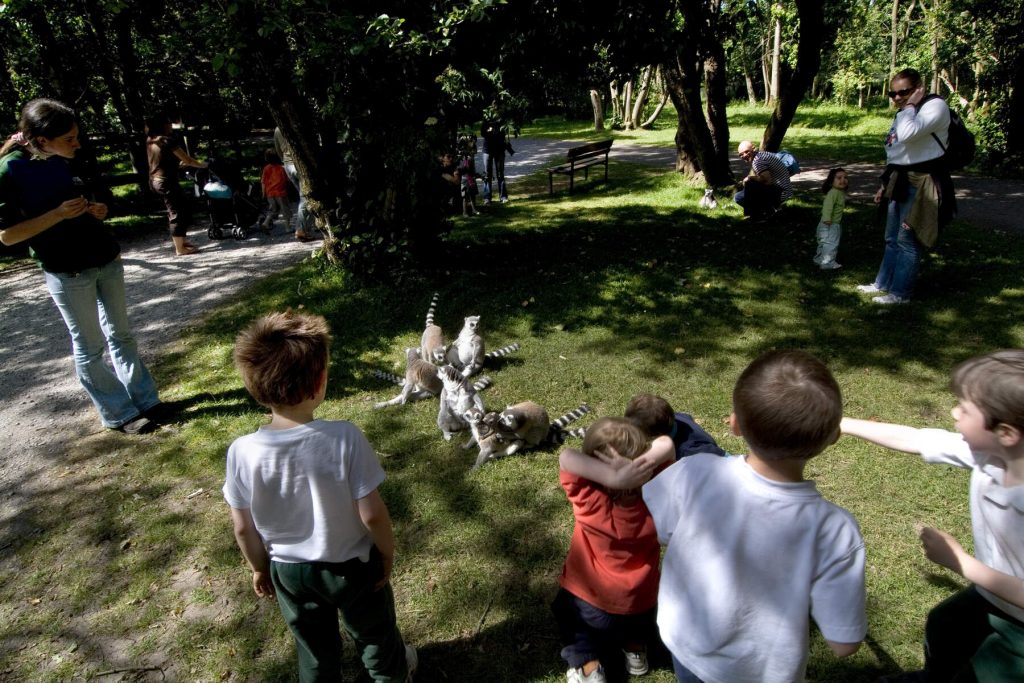 Visiting Ireland with Kids