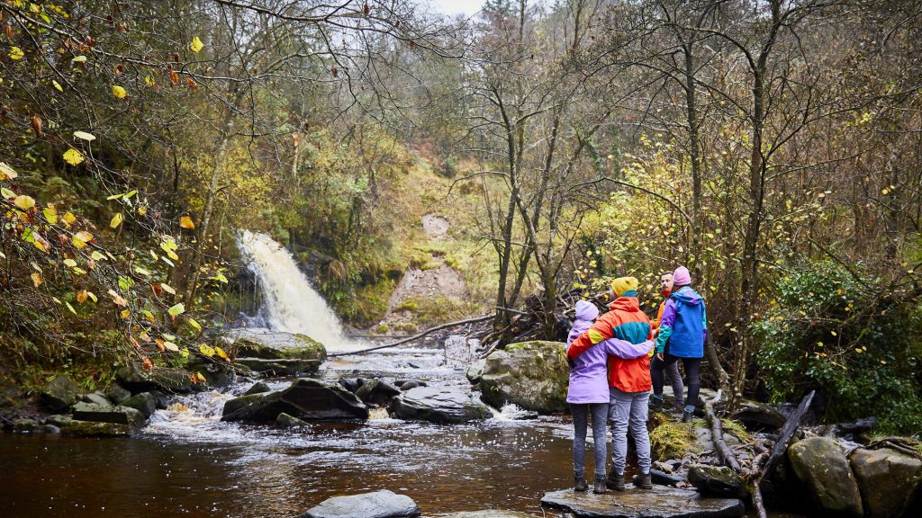 Laois - Slieve Bloom Mountains