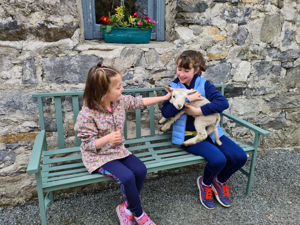 Visiting Ireland with Kids   Galway