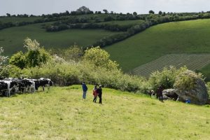 Hill of Uisneach Ireland