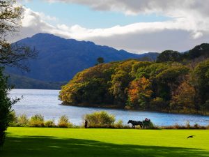 Ring of Kerry   Killarney Lakes