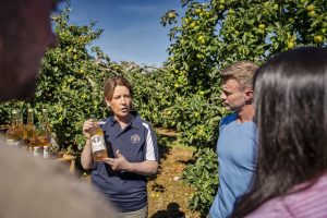 Northern Ireland a Foodies Paradise