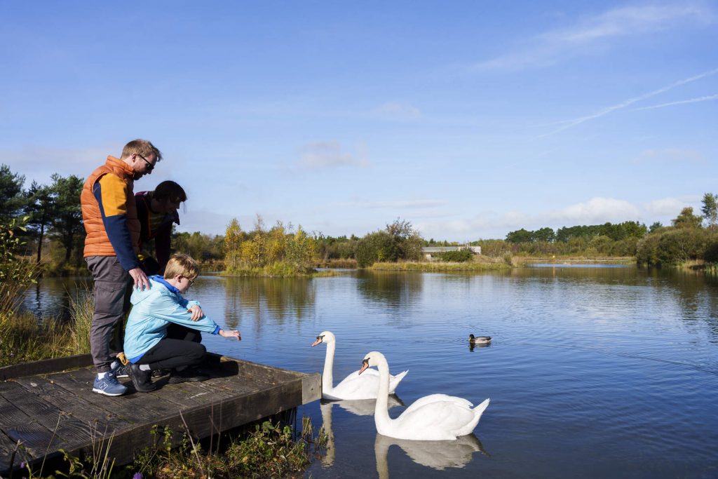 Hidden Gems - Lough Boora Discovery