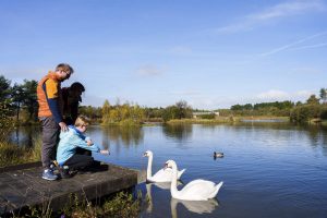 Hidden Gems   Lough Boora Discovery