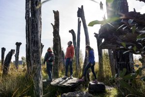 Hidden Gems in Offaly   Ireland off the Beaten Path