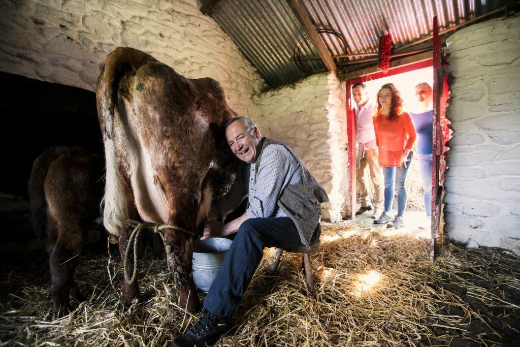 Visiting Ireland with Kids
