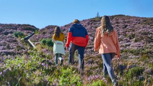 Slieve Bloom   County Offaly