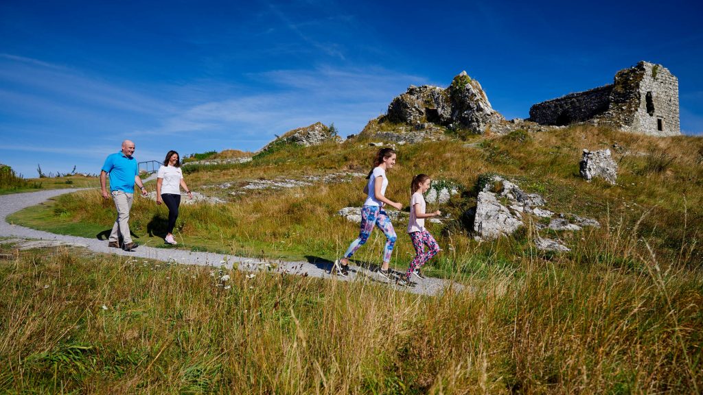 Laois   Rock of Dunamase