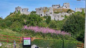 Laois   Rock of Dunamse