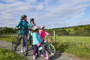 Discover the Charm of Waterford   Ireland family activities