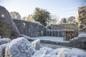 Ireland in Winter