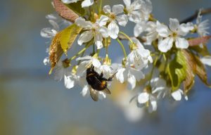 Spring Vacation Packages