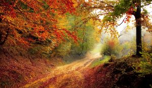 Autumn Vacation Packages